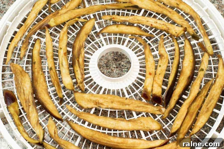 Summer Eggplant Jerky Recipe: Crispy Savory Plant-Based Snack 10 Eggplant jerky on dehydrator tray