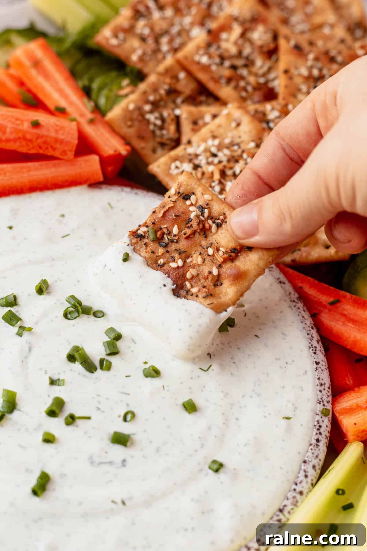 Creamy Cottage Cheese Dip Recipe for Fresh Veggies and Chips 7 dipping a cracker into cottage cheese dip