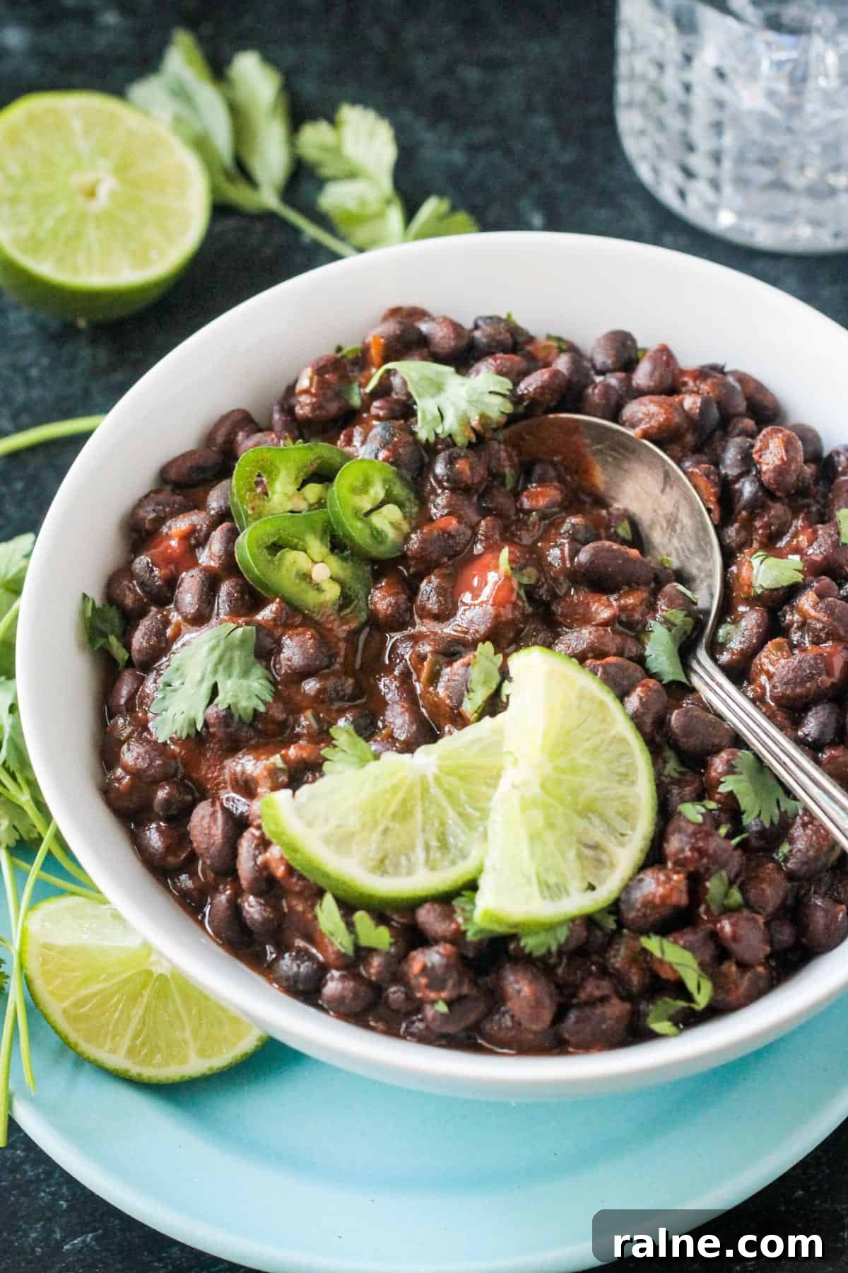 Zesty Spiced Black Beans Recipe for Bold Flavor 8 Metal serving spoon in a bowl of spicy seasoned black beans.