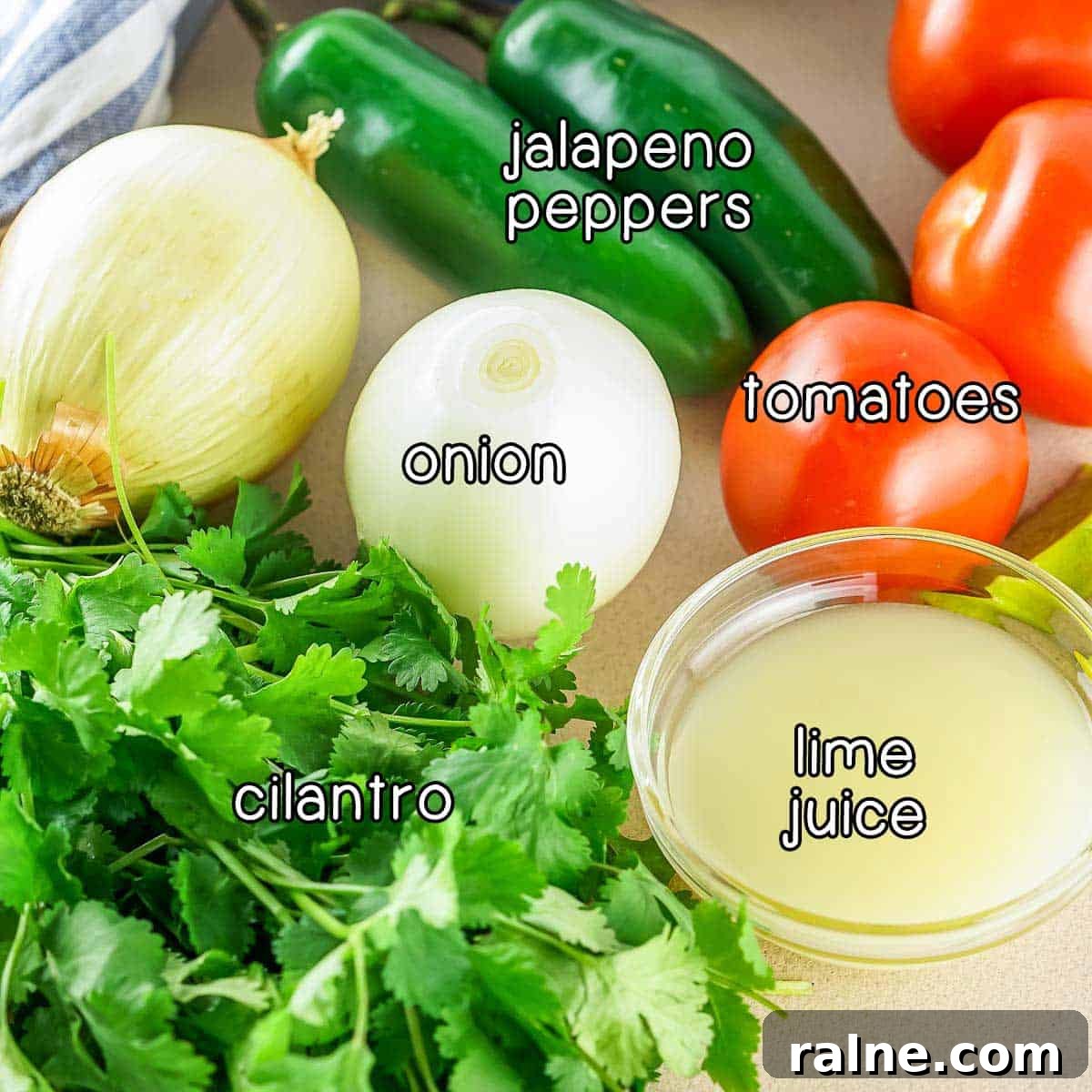 Authentic Mexican Pico de Gallo Recipe: Fresh Salsa Tradicional 3 Overhead shot of ingredients - jalapeno peppers, tomatoes, lime juice, onion, and cilantro.