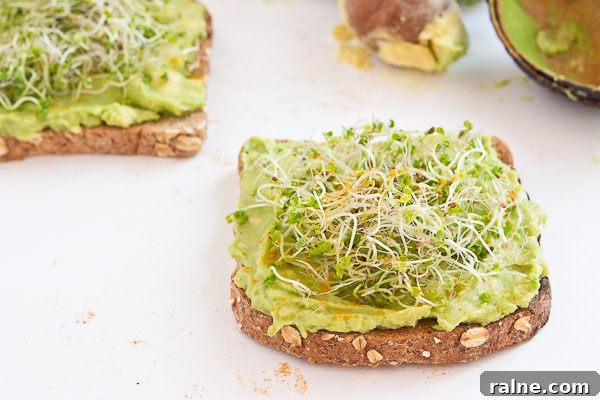 Crunchy Kale Sprout Avocado Toast Recipe for Breakfast or Brunch 3 Start out your day with Avocado Toast with Kale Sprouts. This meal makes you feel good from the inside out! Serve with a big bowl of bitter greens to get even more veg into your diet.