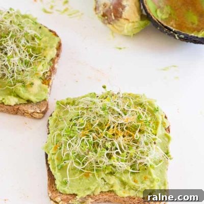 Start out your day with Avocado Toast with Kale Sprouts. This meal makes you feel good from the inside out! Serve with a big bowl of bitter greens to get even more veg into your diet.
