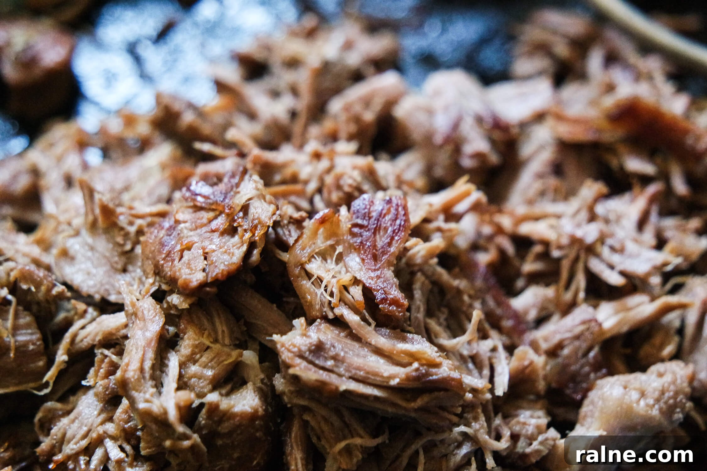 Crispy Tender Venison Carnitas Recipe 2 Tender/Crispy Venison Carnitas