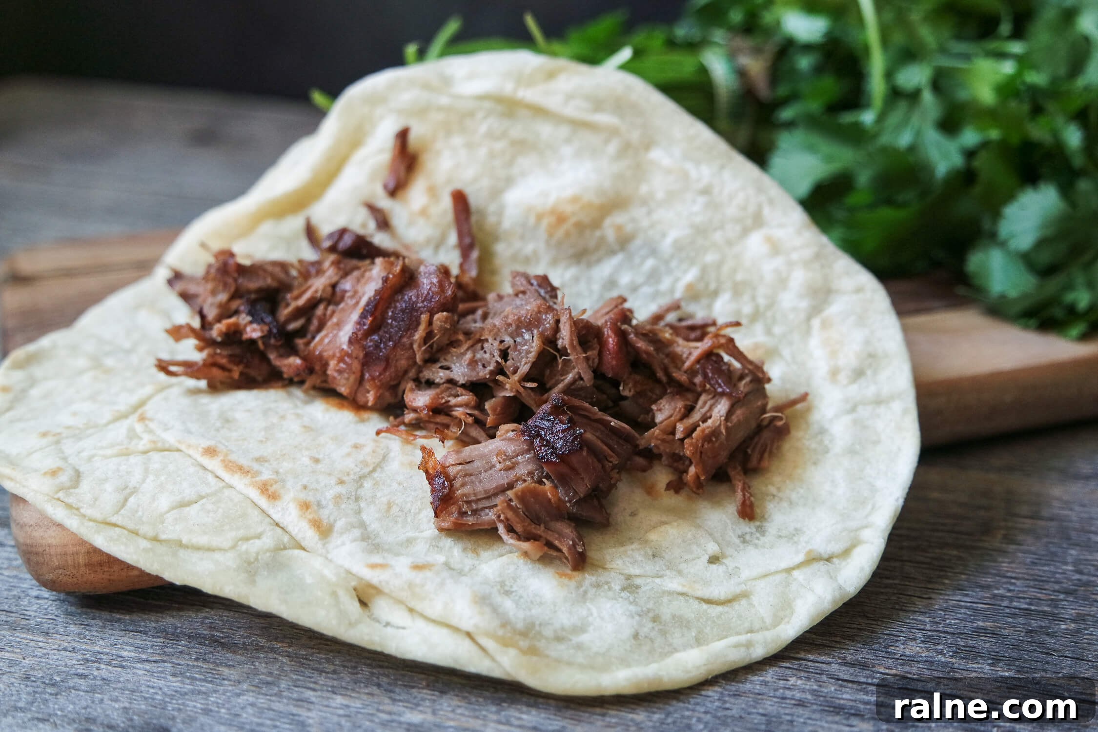 Crispy Tender Venison Carnitas Recipe 3 Tender/Crispy Flavorbomb Venison Carnitas