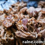 Tender/Crispy Venison Carnitas