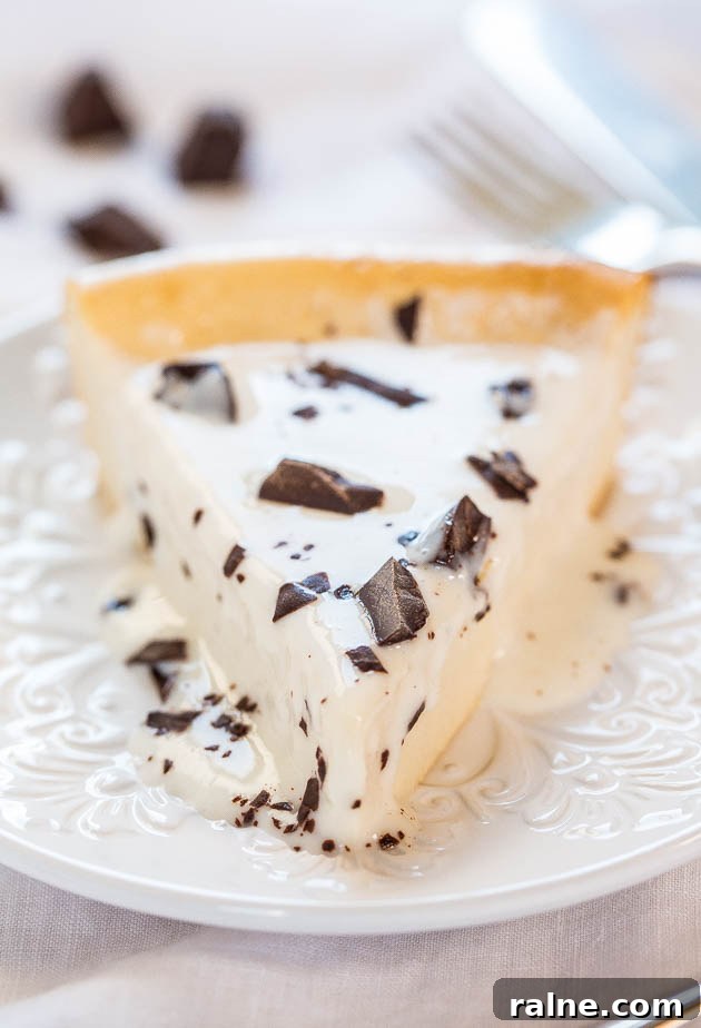 Blender-Batter Self-Crust Cheesecake Recipe That Sets Quickly 5 Cheesecake closeup