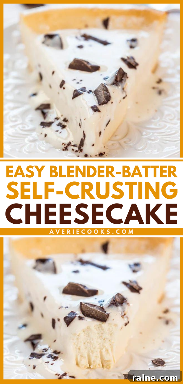 Blender-Batter Self-Crust Cheesecake Recipe That Sets Quickly 7 Cheesecake slice with chocolate