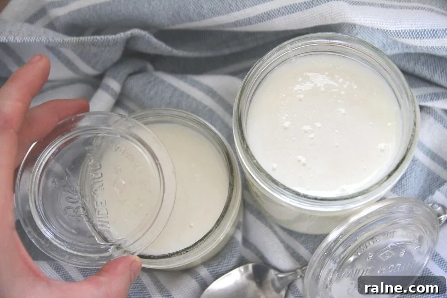 How to Make Smooth Creamed Honey at Home 5 Two jars of creamed honey being lidded with clear glass lids