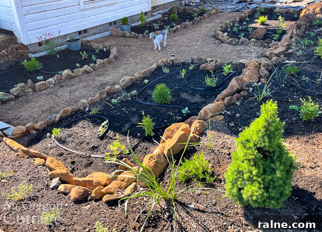 Good Things List No. 38: Garden Progress, Woman’s Garden, Roomba, Ikea Desk & Books 4 Planted sunken garden looking toward house