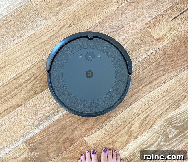 Good Things List No. 38: Garden Progress, Woman’s Garden, Roomba, Ikea Desk & Books 7 roomba on floor