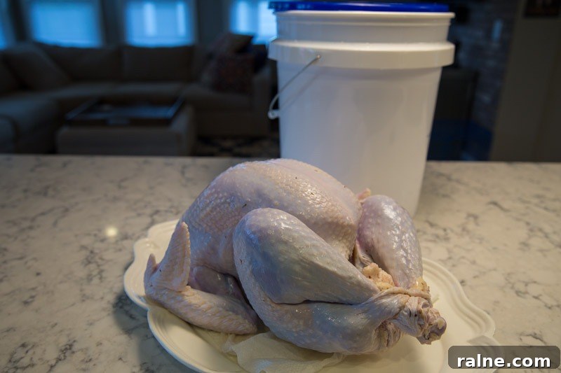 Thanksgiving Turkey on the Big Green Egg: Perfect Roast Guide 6 img 5493 5