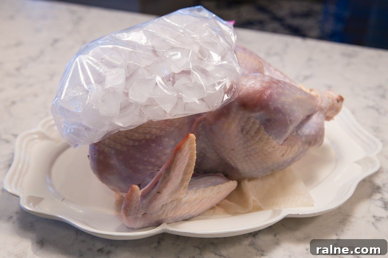 Thanksgiving Turkey on the Big Green Egg: Perfect Roast Guide 8 img 5493 7