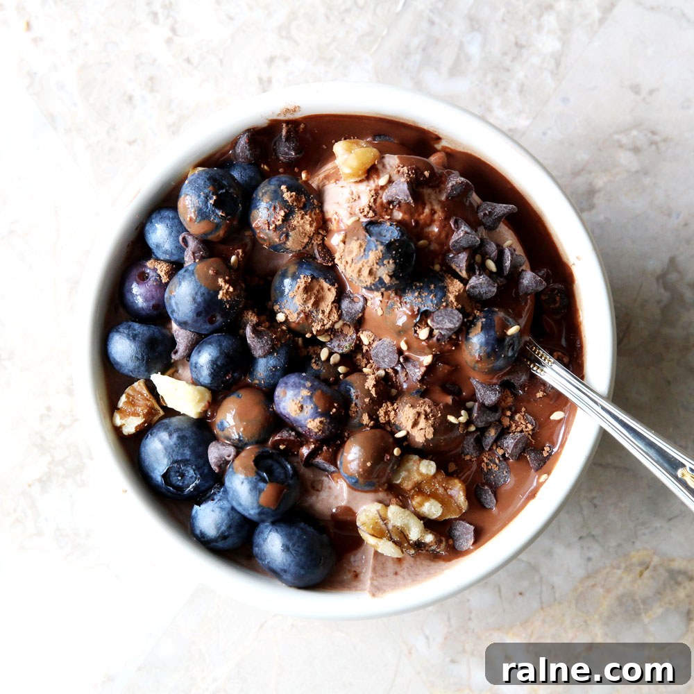 Coffee and Chocolate Blueberry Yogurt Bowl Recipe 2 Chocolate Blueberry Yogurt Bowl
