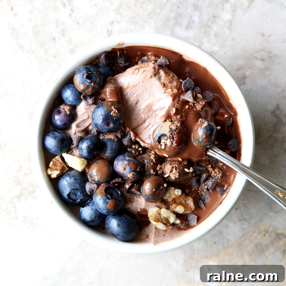 Coffee and Chocolate Blueberry Yogurt Bowl Recipe 3 chocolate yogurt with blueberries and nuts