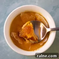 Instant Pot Pumpkin Crème Brûlée Recipe: Quick Fall Dessert 2 Smooth, brown stew with chunks of ingredients in a white bowl.