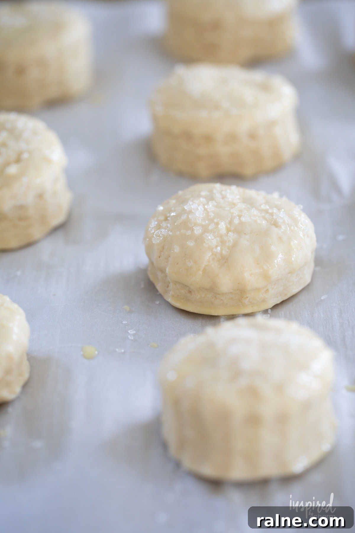unbaked scones with coarse sugar sprinkled on top.