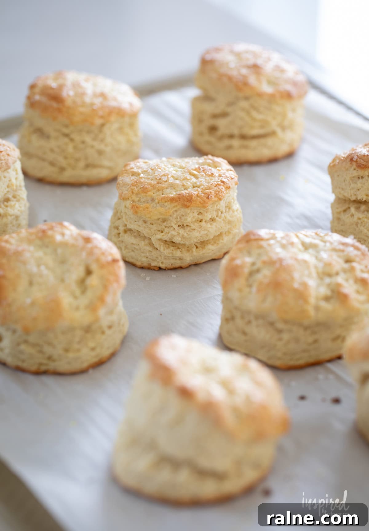 baked scones on parchment paper on a baking sheet.