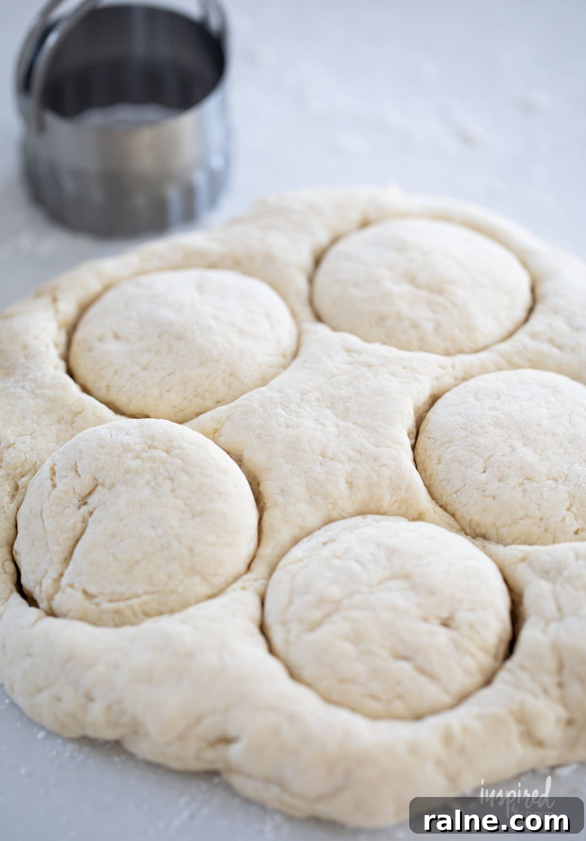 homemade scones dough with scones cut out.
