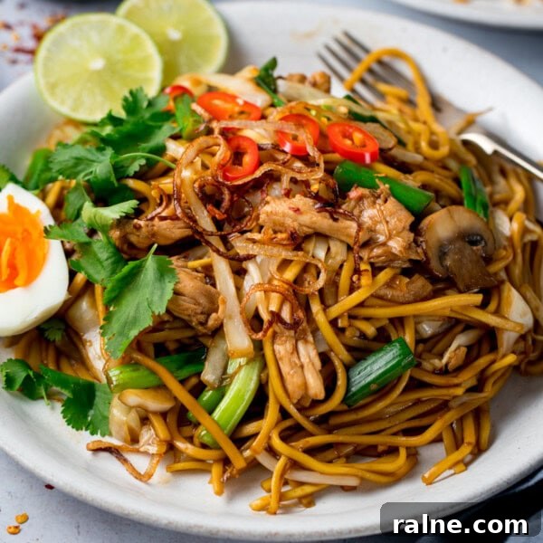 Singapore Stir-Fry Noodles with Curry and Shrimp 9 A plate of mee goreng (Asian noodles) stir-fried with shredded chicken, spring onions, red chilli slices, mushrooms, coriander, half a boiled egg, and lime wedges on a white plate.