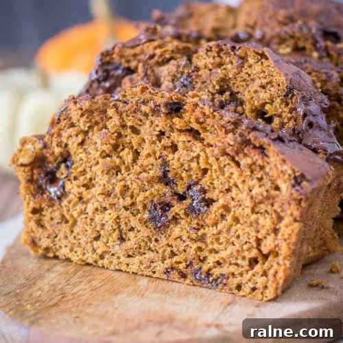 Pumpkin Chocolate Chip Bread