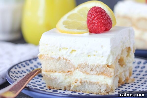 9 Refreshing No-Bake Desserts Perfect for Summer Entertaining 3 img 6003 2