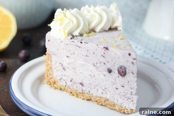9 Refreshing No-Bake Desserts Perfect for Summer Entertaining 10 img 6003 9