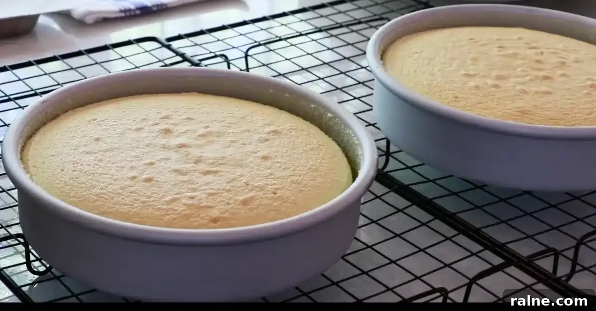 Decadent Strawberry Cream Layer Cake Recipe 12 baked fluffy chiffon cake in round pans