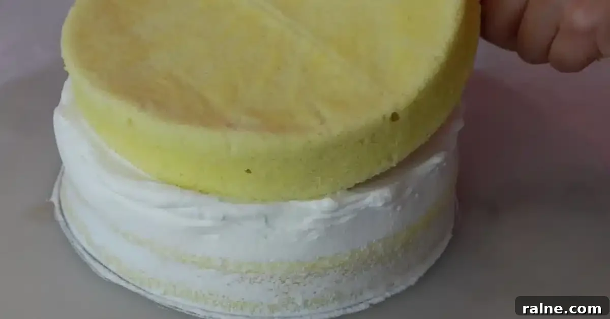 Decadent Strawberry Cream Layer Cake Recipe 22 placing the 2nd layer of a sponge cake to assemble the strawberry cream cake
