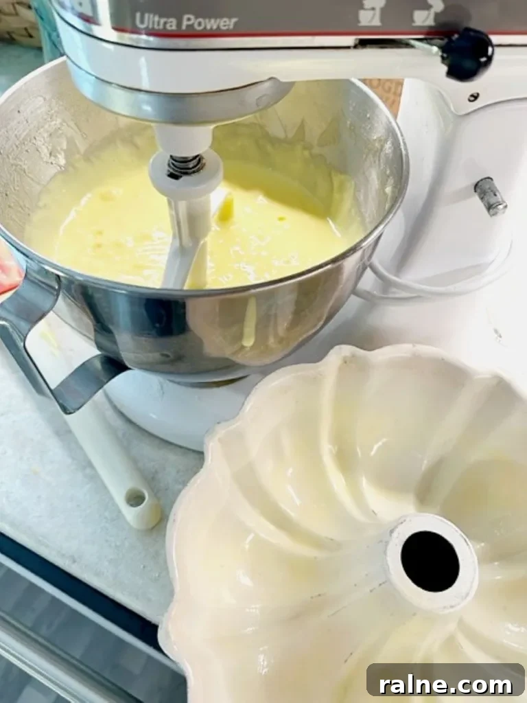 cake batter and the bundt pan used to bake the cake