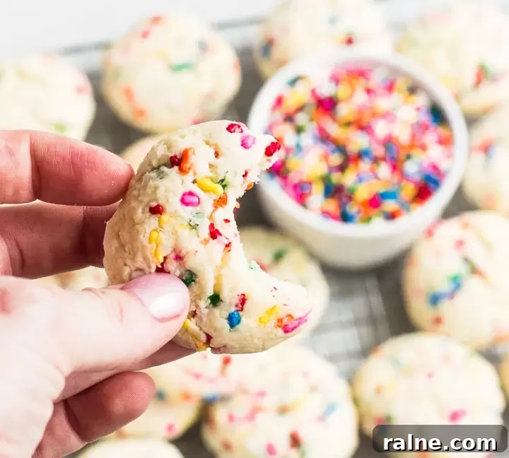 hand holding a cookie with a bite taken out of it