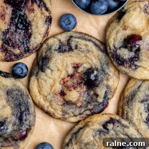 Chewy Blueberry Cookies Recipe: Soft, Fruity Bakes 11 img 6985 15