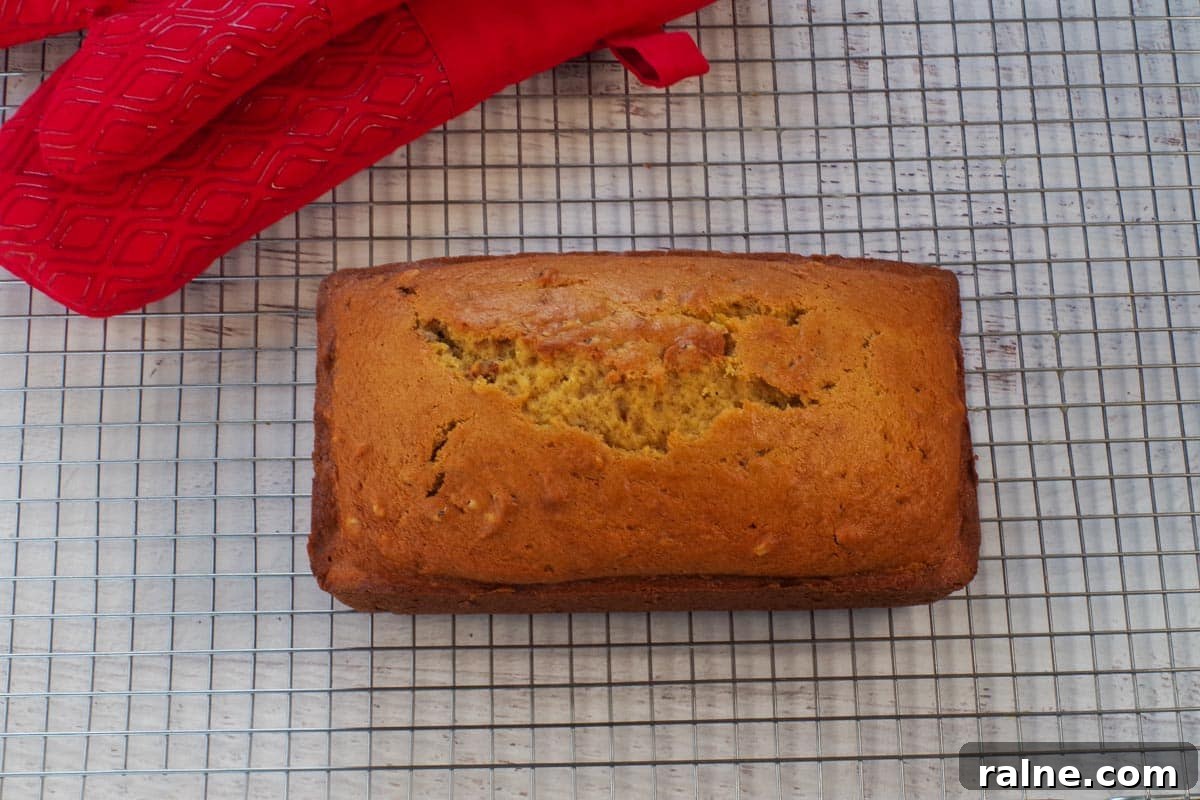 Dairy-Free Pumpkin Walnut Bread Recipe 14 Pumpkin Loaf cooling on a wire rack.
