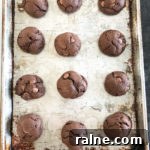 Chocolate Chunk S'mores Cookies Recipe — Gooey Campfire Treat 3 32824407_1972515746396220_3971684124082569216_n