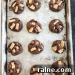 Chocolate Chunk S'mores Cookies Recipe — Gooey Campfire Treat 4 32307798_1689970064404832_1148386354149720064_n