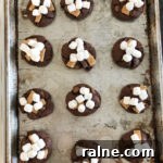 Chocolate Chunk S'mores Cookies Recipe — Gooey Campfire Treat 5 32006460_257863794787131_3925811425229930496_n