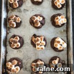 Chocolate Chunk S'mores Cookies Recipe — Gooey Campfire Treat 6 31971332_178823069491895_128563467979325440_n