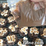Chocolate Chunk S'mores Cookies Recipe — Gooey Campfire Treat 7 31966735_192573368040891_4249946568335032320_n