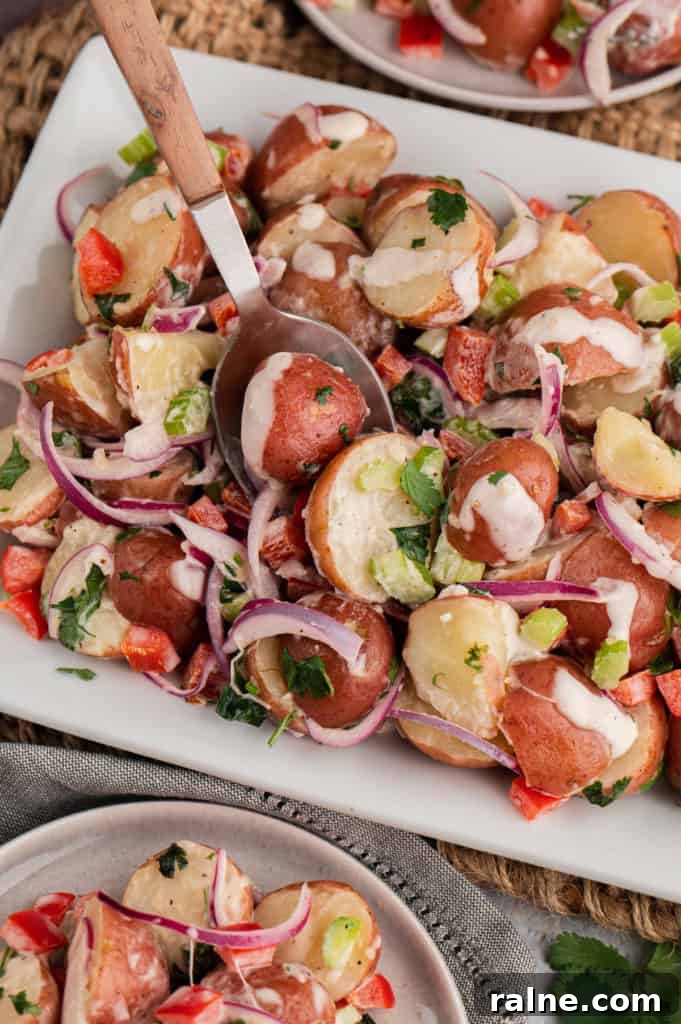 Creamy Red Potato Salad with Fresh Herbs and Dijon Dressing 4 Red potato salad without eggs on a platter.