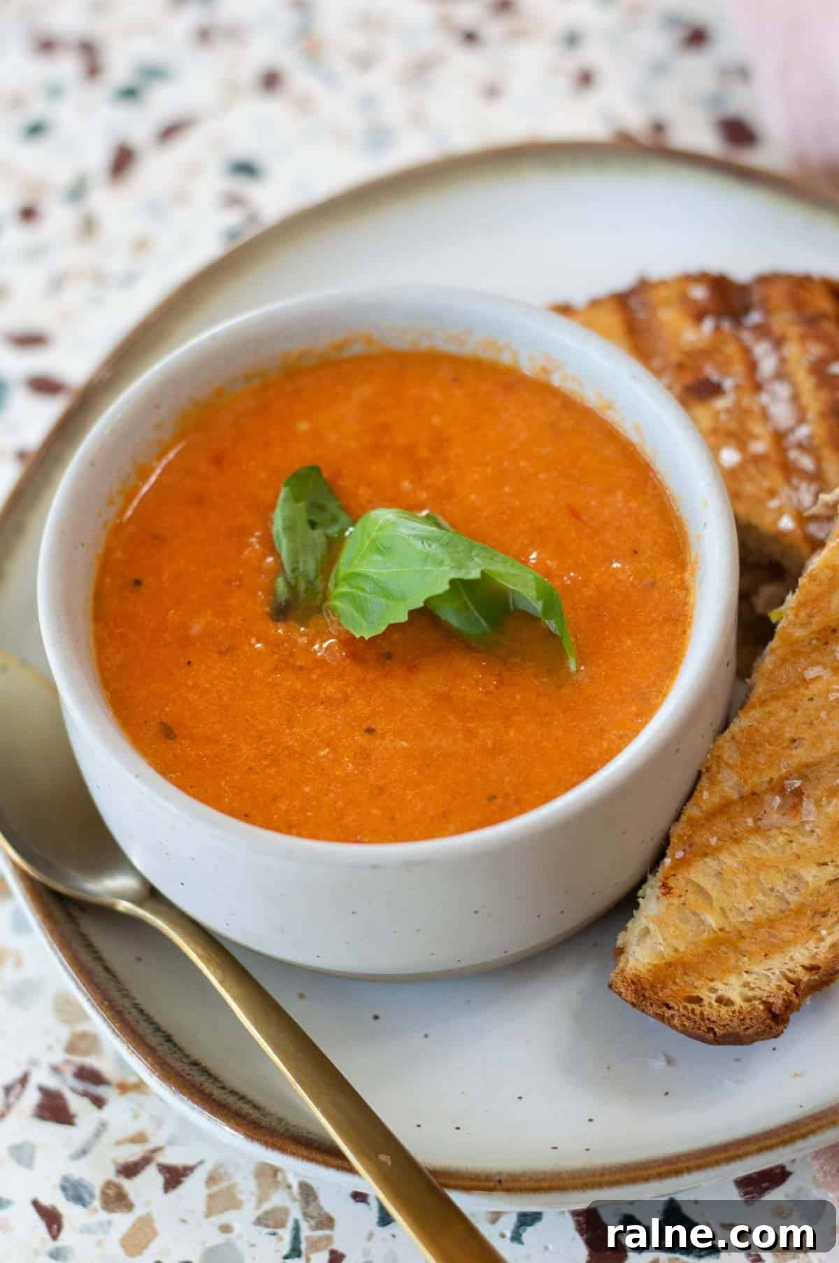 Creamy Dairy-Free Tomato Soup Recipe — Vegan & Comforting 2 Dairy Free Tomato Soup with basil