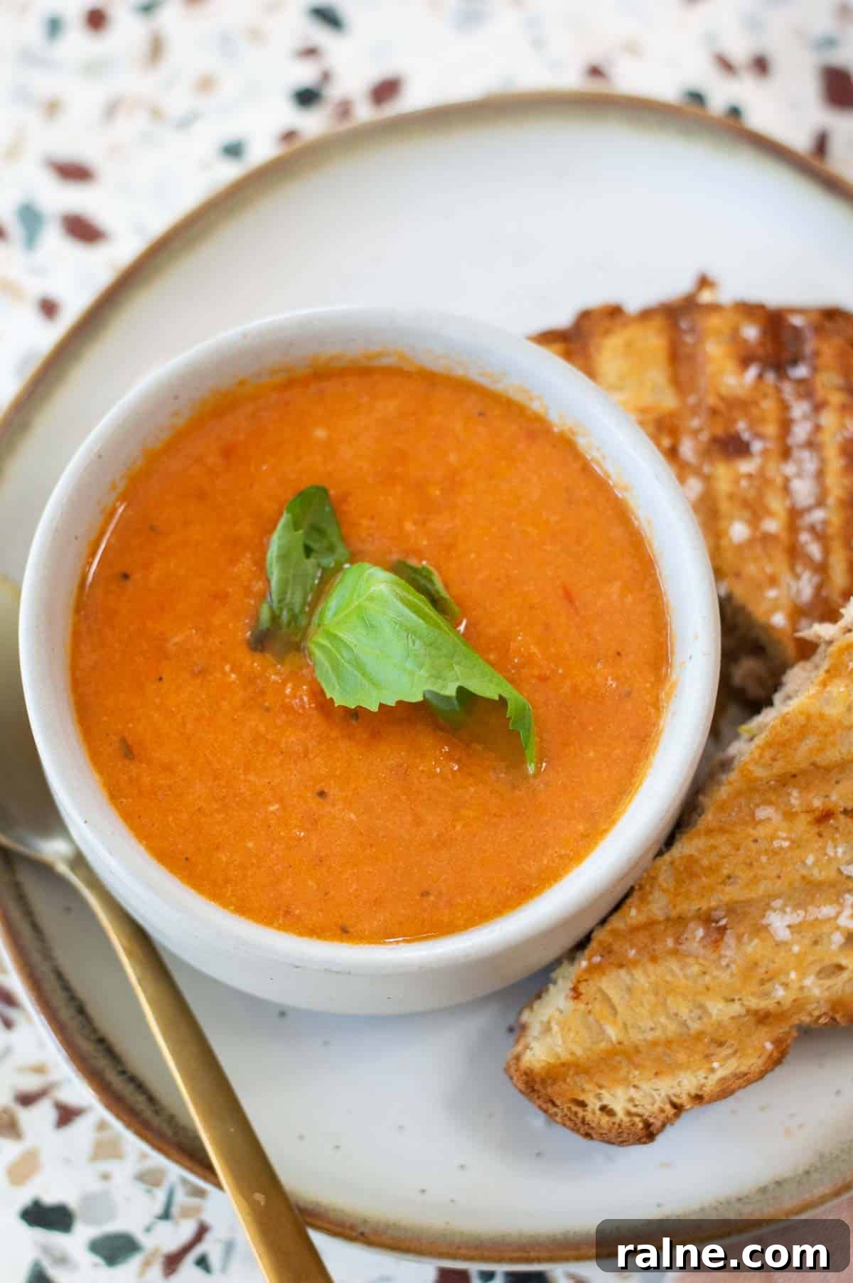 Creamy Dairy-Free Tomato Soup Recipe — Vegan & Comforting 4 Dairy Free Tomato Soup in a bowl with basil