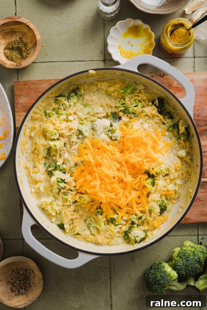 Creamy Broccoli Cheddar Orzo Bake with Parmesan Crust 7 Shredded cheese added to broccoli cheddar orzo.
