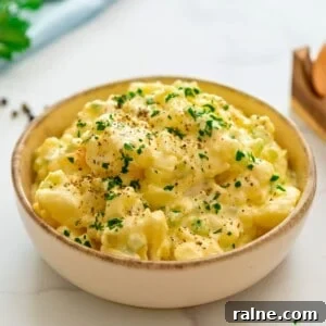 Hellmann's Potato Salad dished in large bowl topped with crushed pepper and parsley.