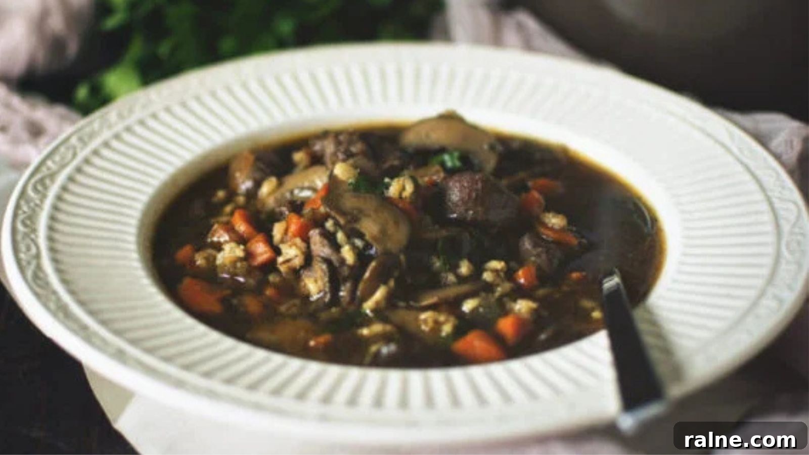 17 Comforting Soup Recipes for Quiet Evenings 11 Beef and barley soup simmered hearty with vegetables and broth.