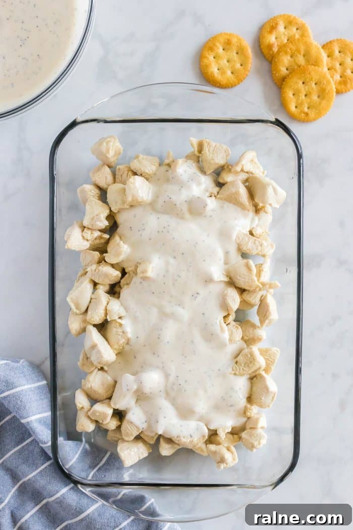 Creamy Poppy Seed Chicken Casserole with Ritz Topping 5 Large glass baking dish filled with cooked chicken pieces and topped with cream of chicken soup mixed with poppy seeds and sour cream.