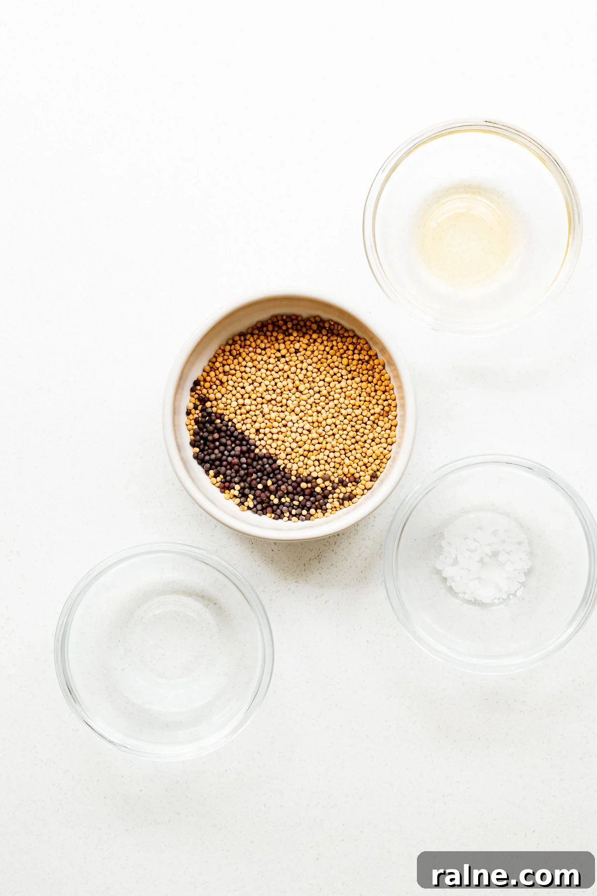 Dijon Mustard Substitutes and Simple Homemade Recipe 3 Ingredients for Dijon mustard include mustard seeds, salt, white wine and vinegar.