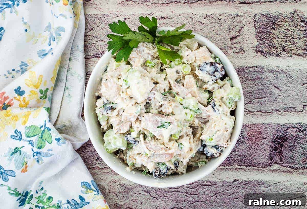 23 Make-Ahead Salads That Stay Fresh in the Fridge and Lunch Bag 4 Top-down shot of Turkey Salad with Cranberries & Walnuts on a bowl.