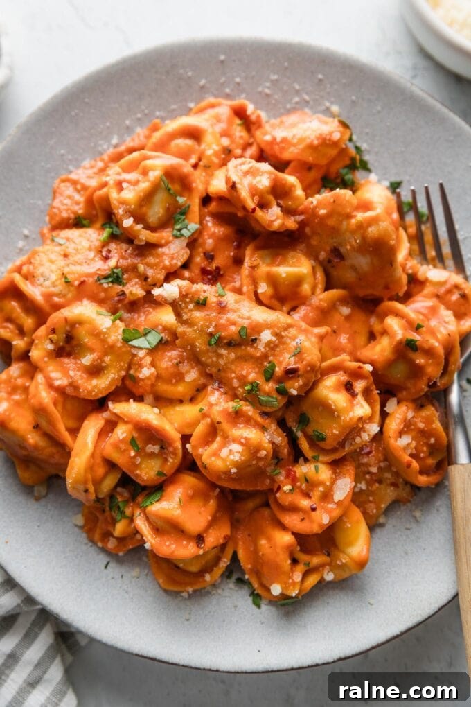 One-Pan Italian Chicken and Tortellini Skillet Meal 3 Close up of Italian chicken tortellini in tomato sauce piled high on a plate.