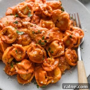 One-Pan Italian Chicken and Tortellini Skillet Meal 5 Plate filled bites of chicken and cheese-filled tortellini simmered in a light homemade tomato cream sauce infused with Italian herbs.