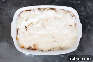 Cake mix sprinkled over peaches for dump cake.