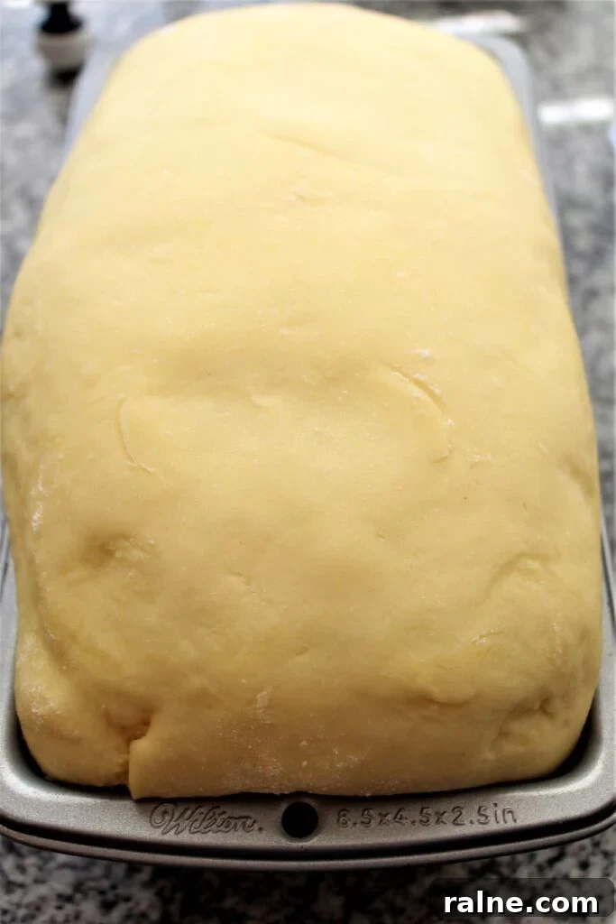 risen loaf of brioche dough